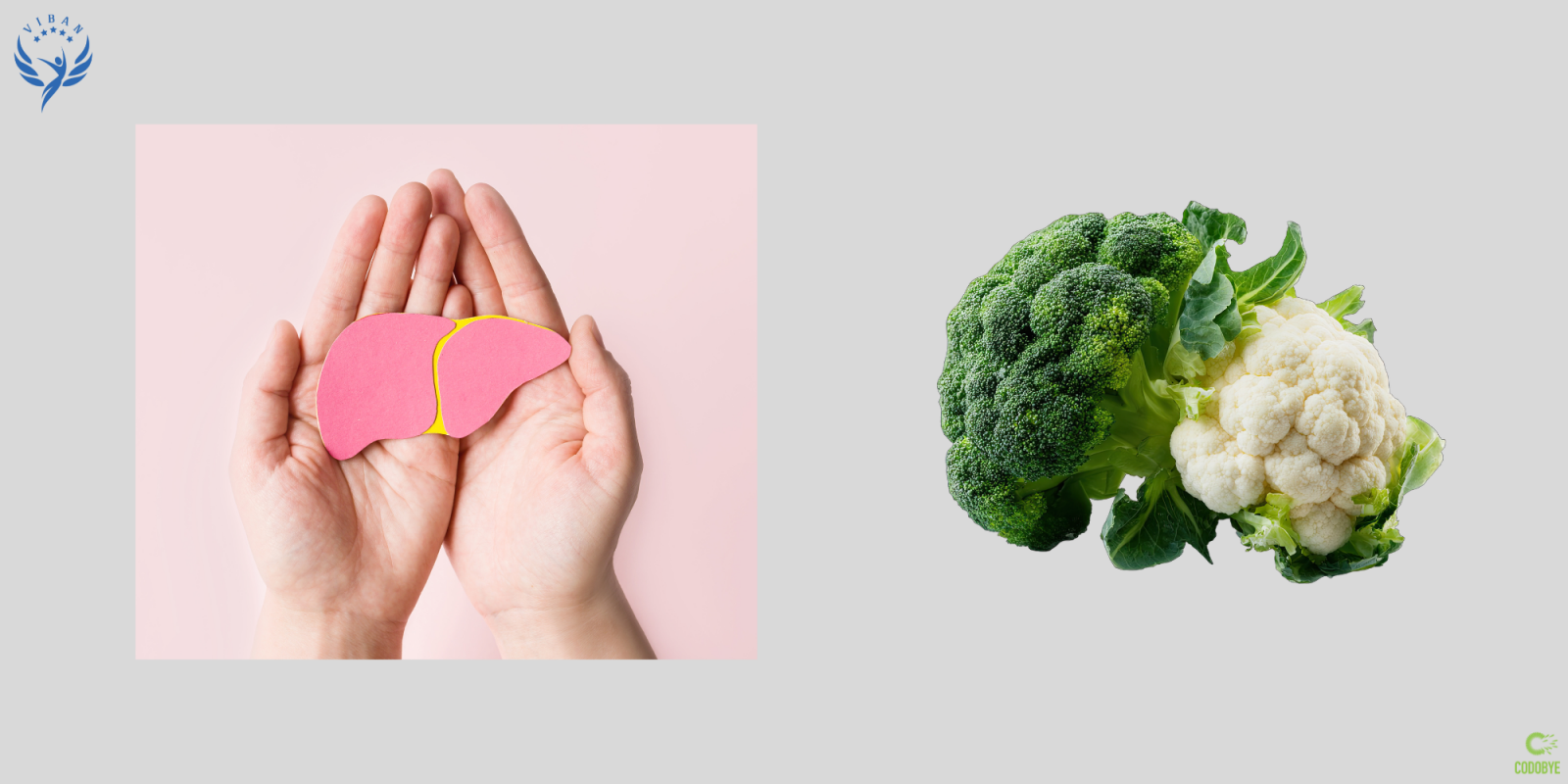 Bông cải xanh giàu sulforaphane giúp gan khỏe và giảm stress oxy hóa